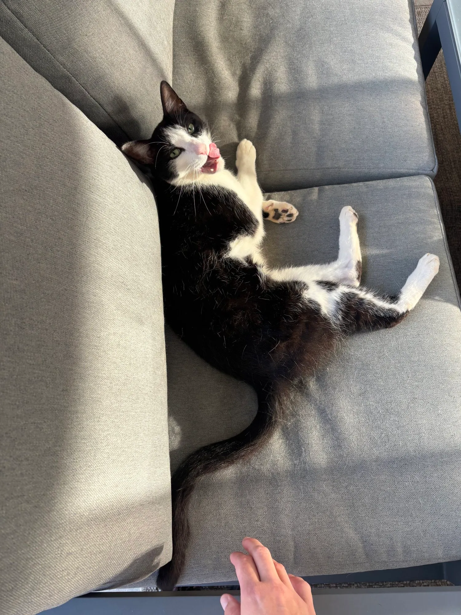 A memorable moment with a pet in our care (12)