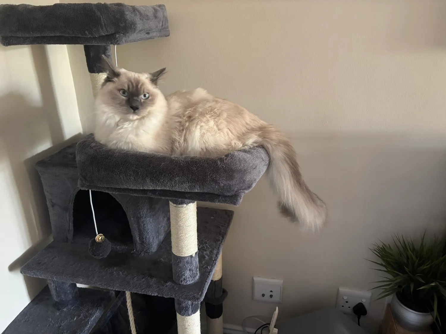 A memorable moment with a pet in our care (16)