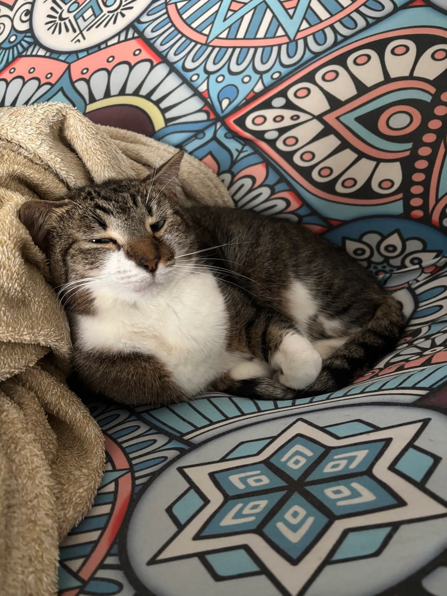 A memorable moment with a pet in our care (20)