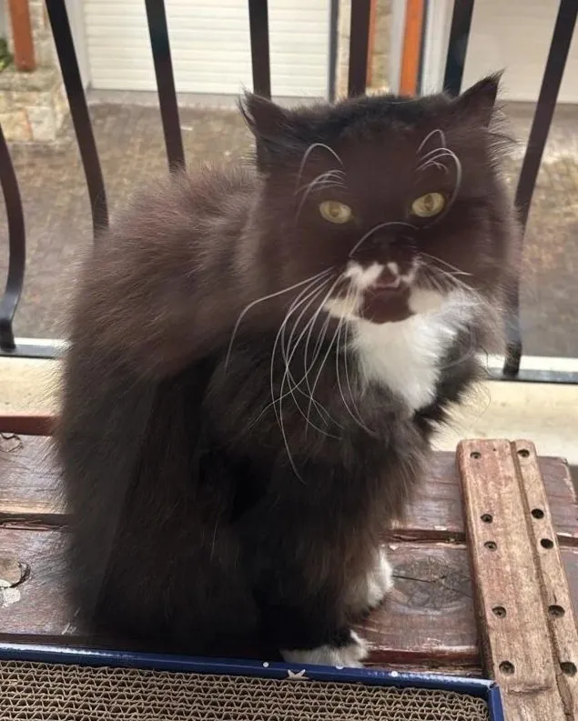 A memorable moment with a pet in our care (31)