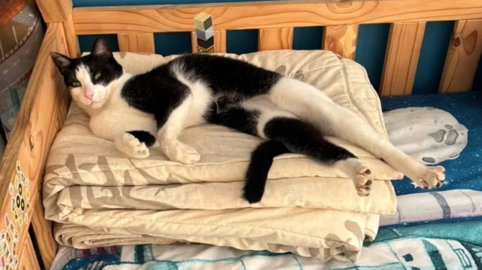A memorable moment with a pet in our care (36)