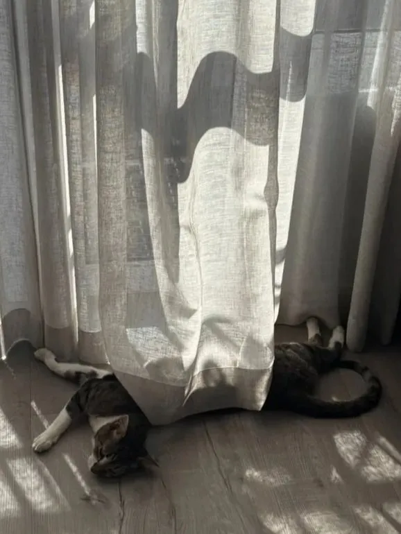 A memorable moment with a pet in our care (37)