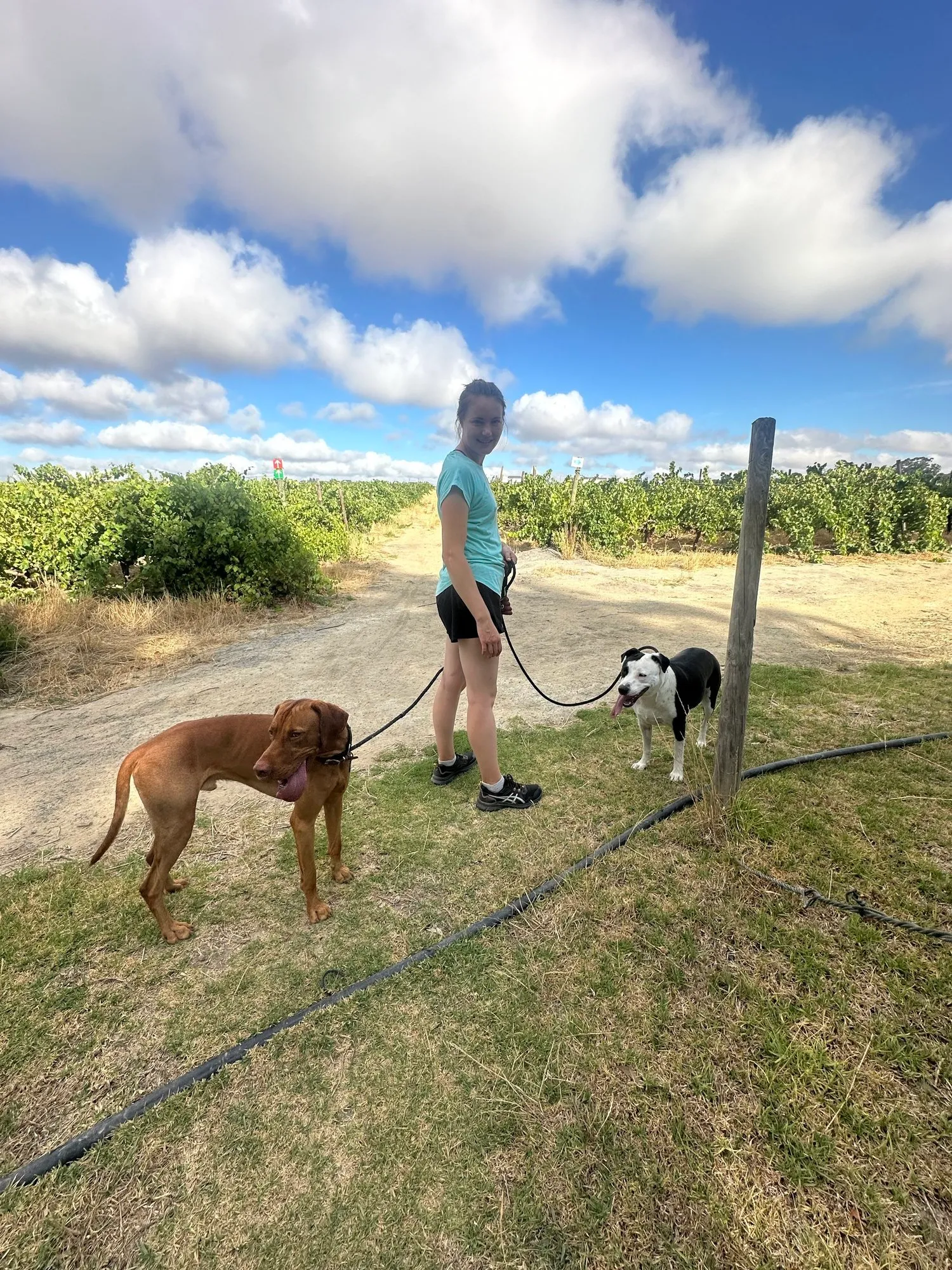 A memorable moment with a pet in our care (61)