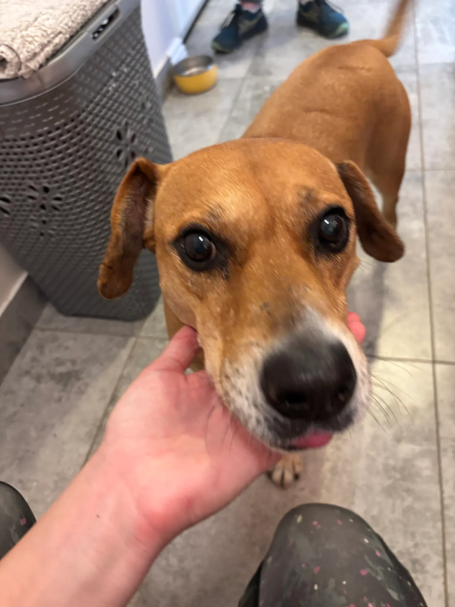 A memorable moment with a pet in our care (82)