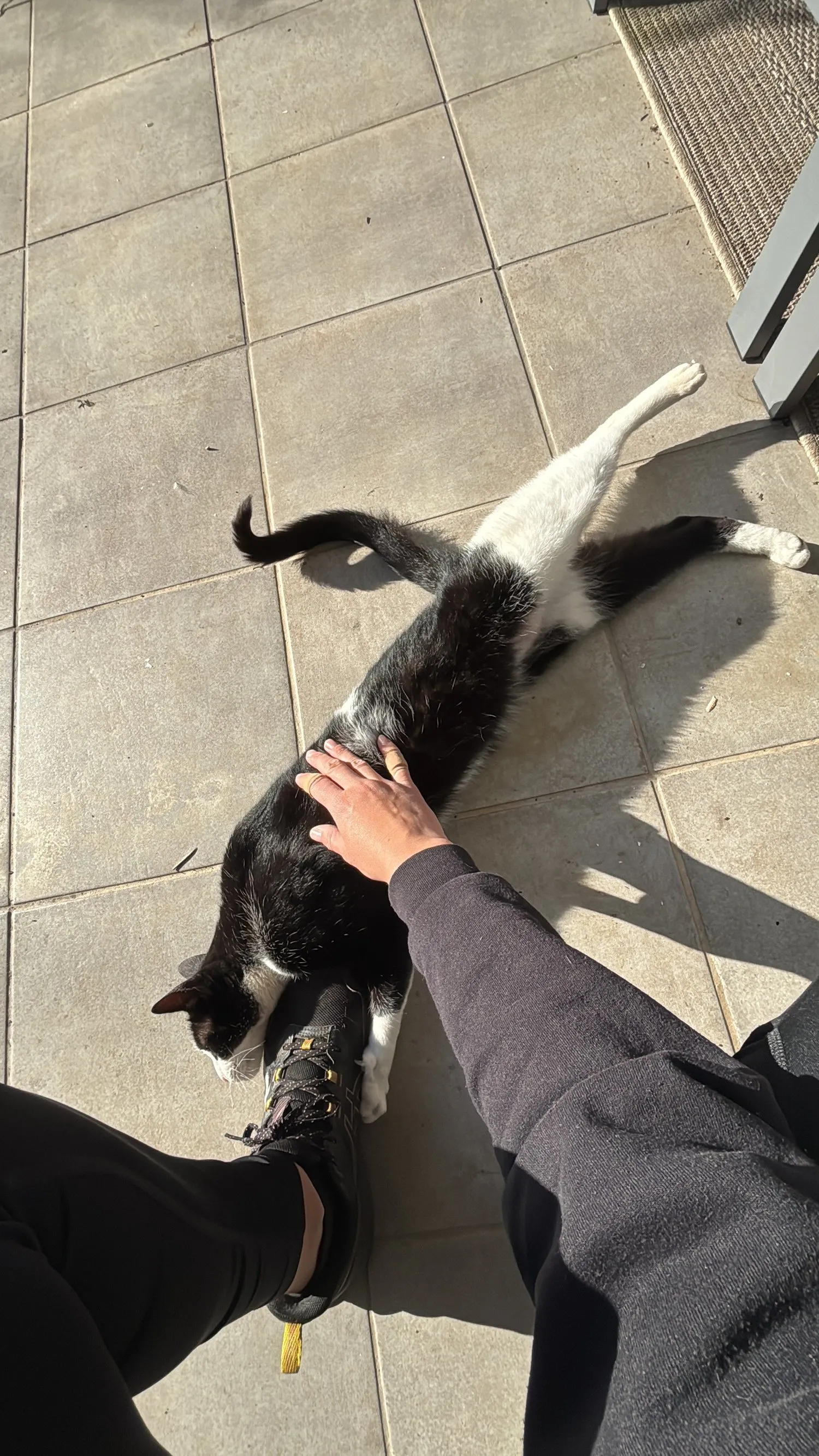 A memorable moment with a pet in our care (90)