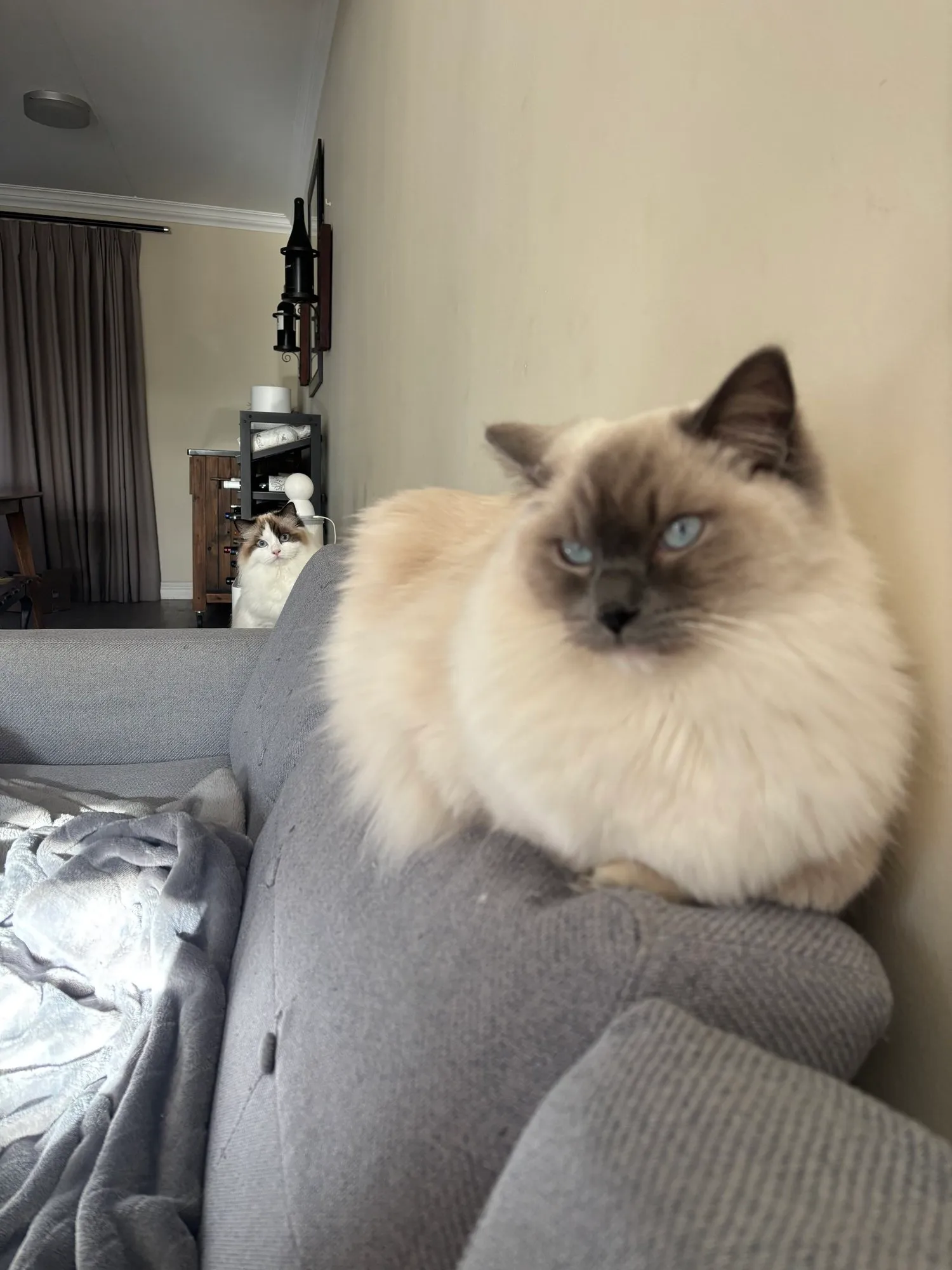 A memorable moment with a pet in our care (98)