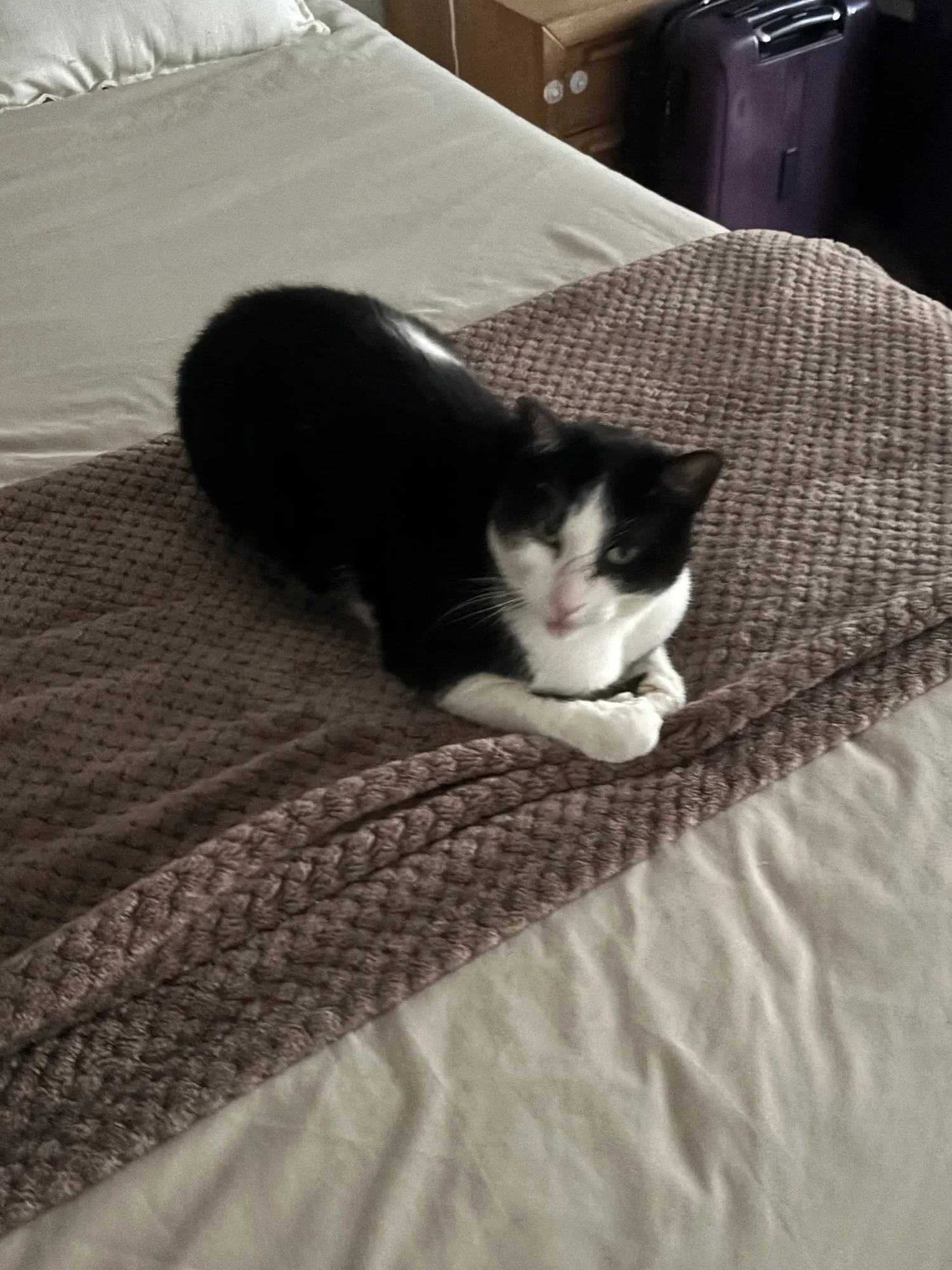 A memorable moment with a pet in our care (101)