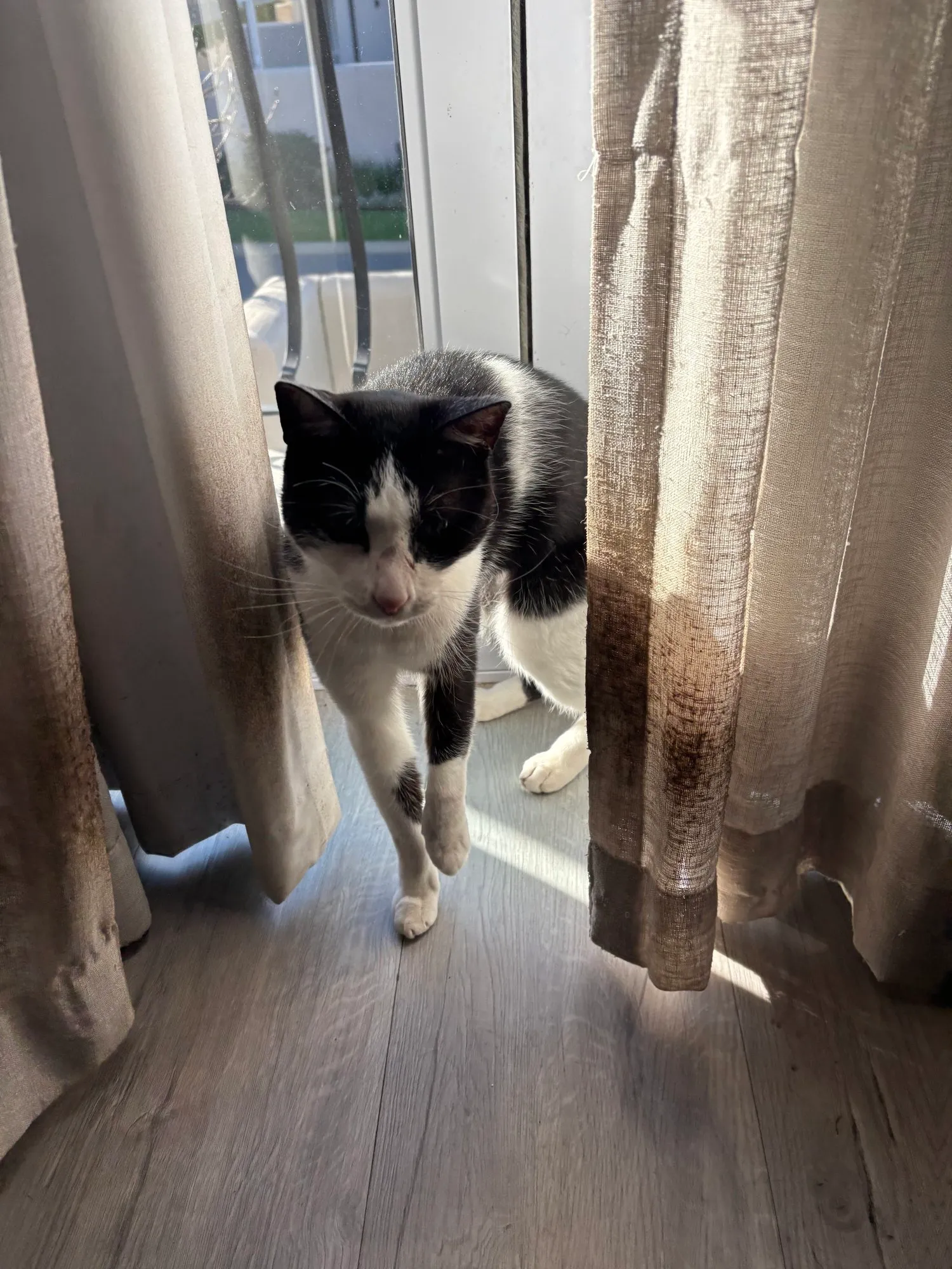 A memorable moment with a pet in our care (103)