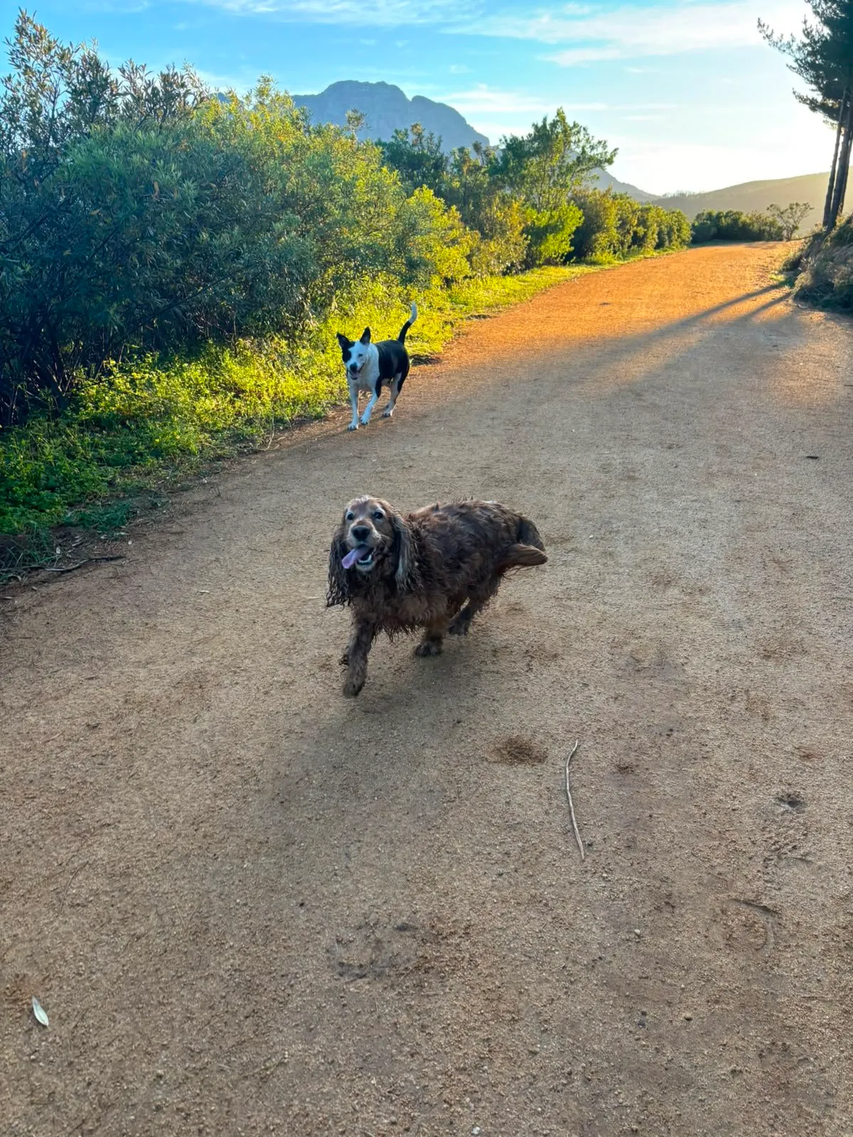 A memorable moment with a pet in our care (123)