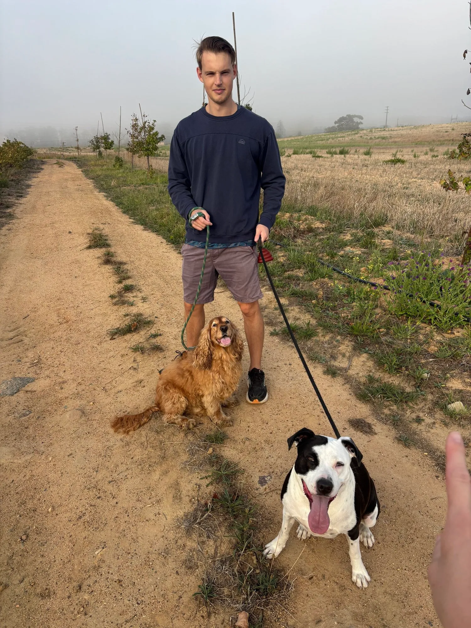 A memorable moment with a pet in our care (132)
