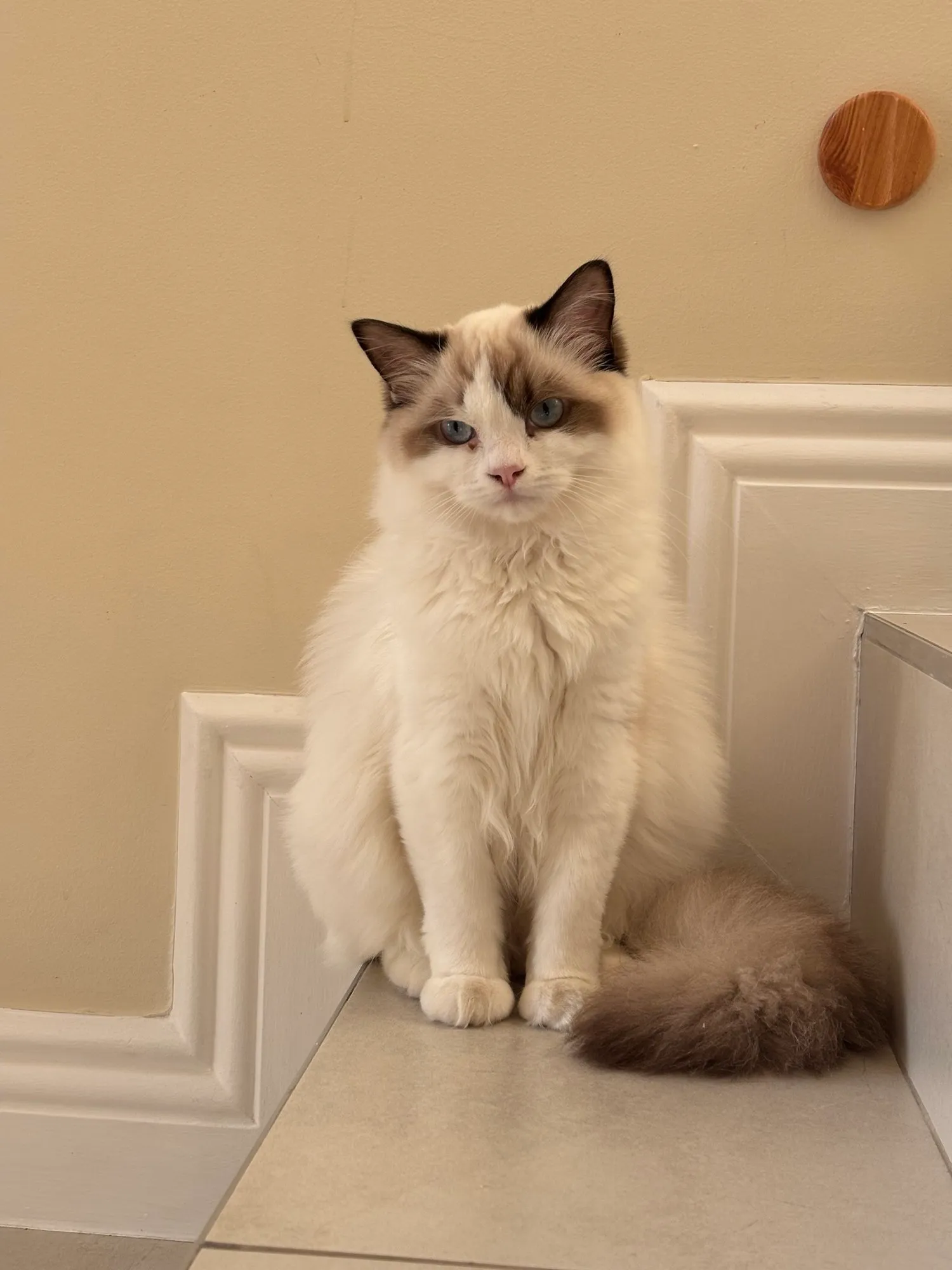 A memorable moment with a pet in our care (148)