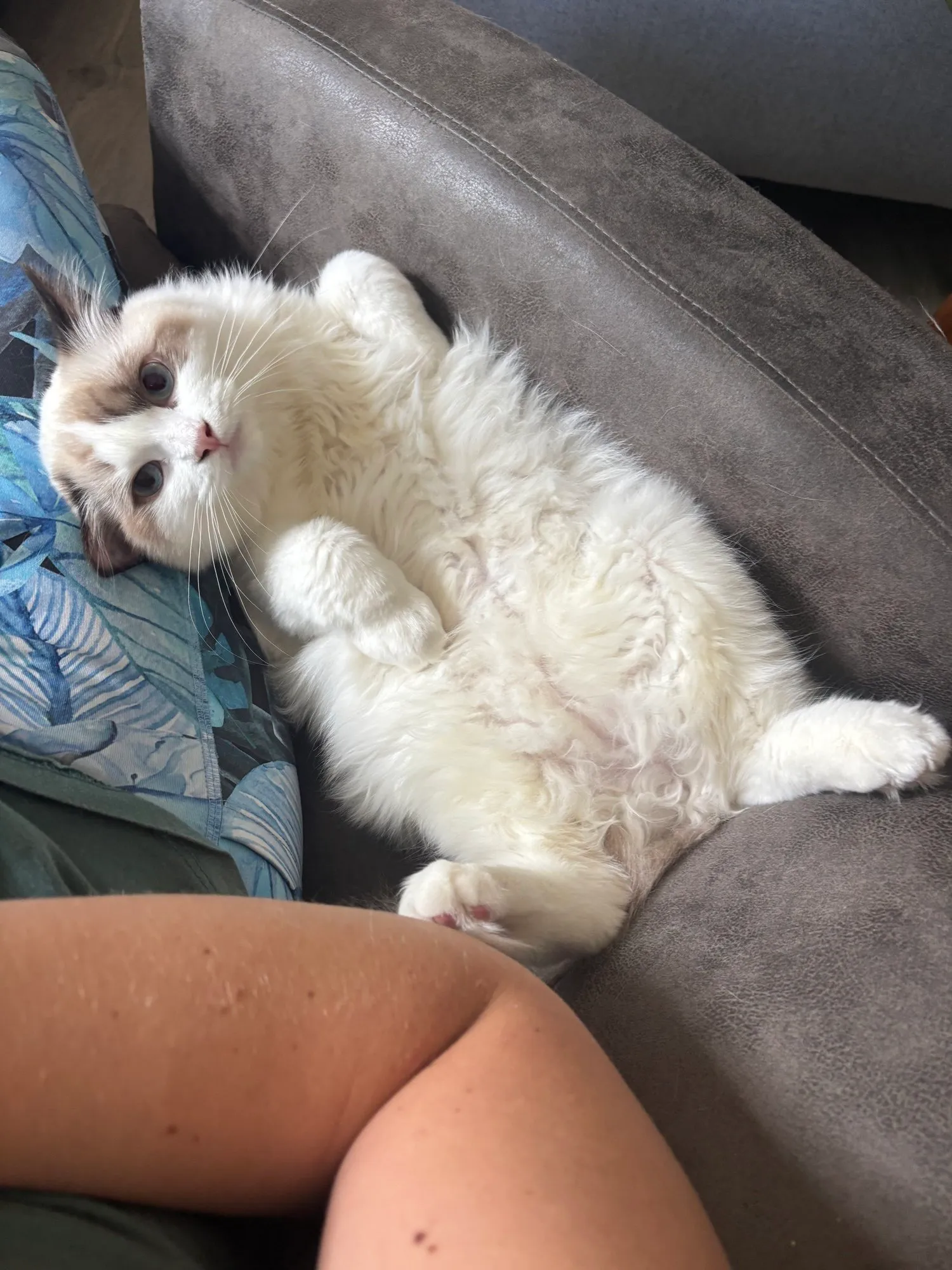 A memorable moment with a pet in our care (149)