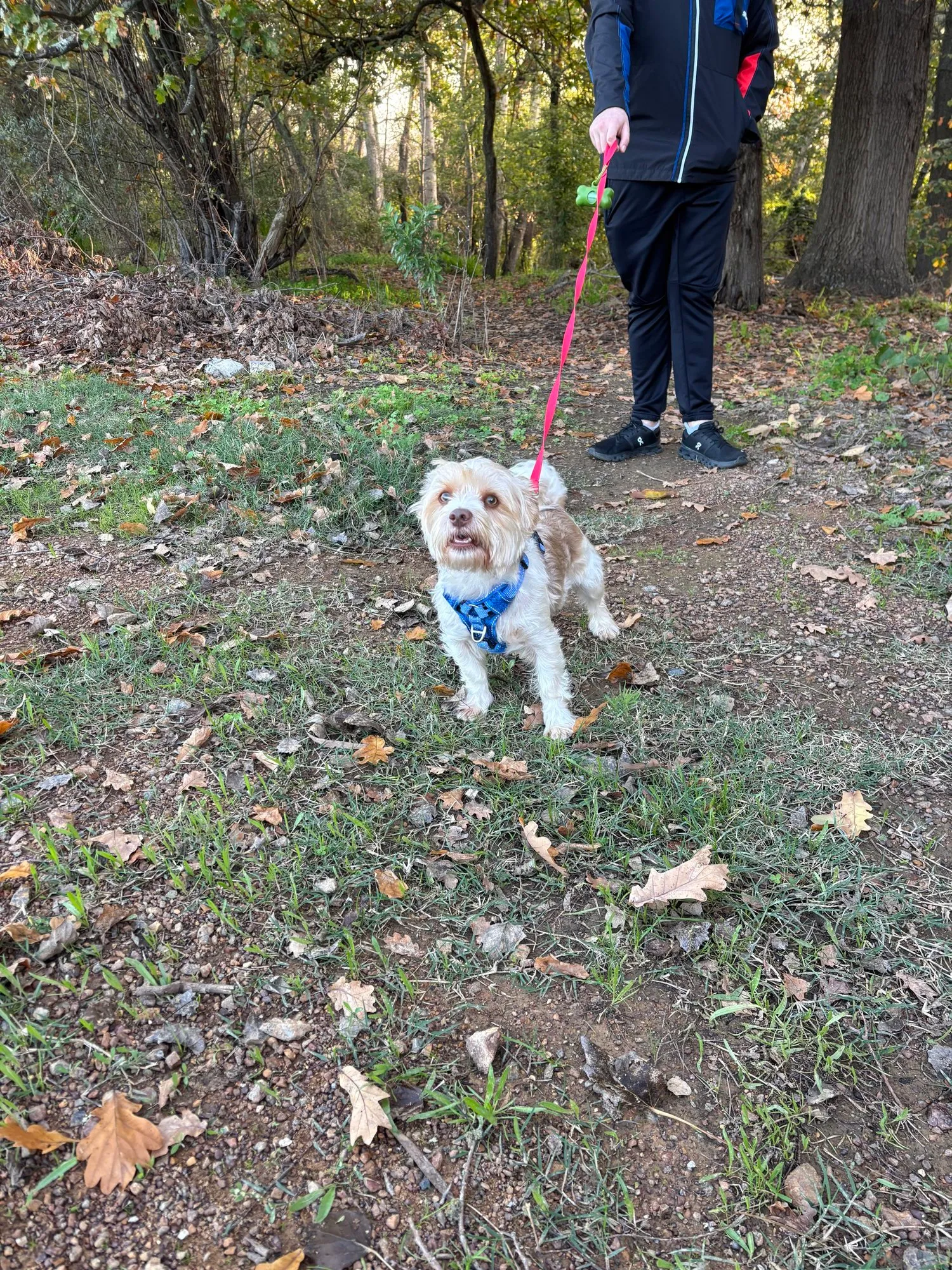 A memorable moment with a pet in our care (159)