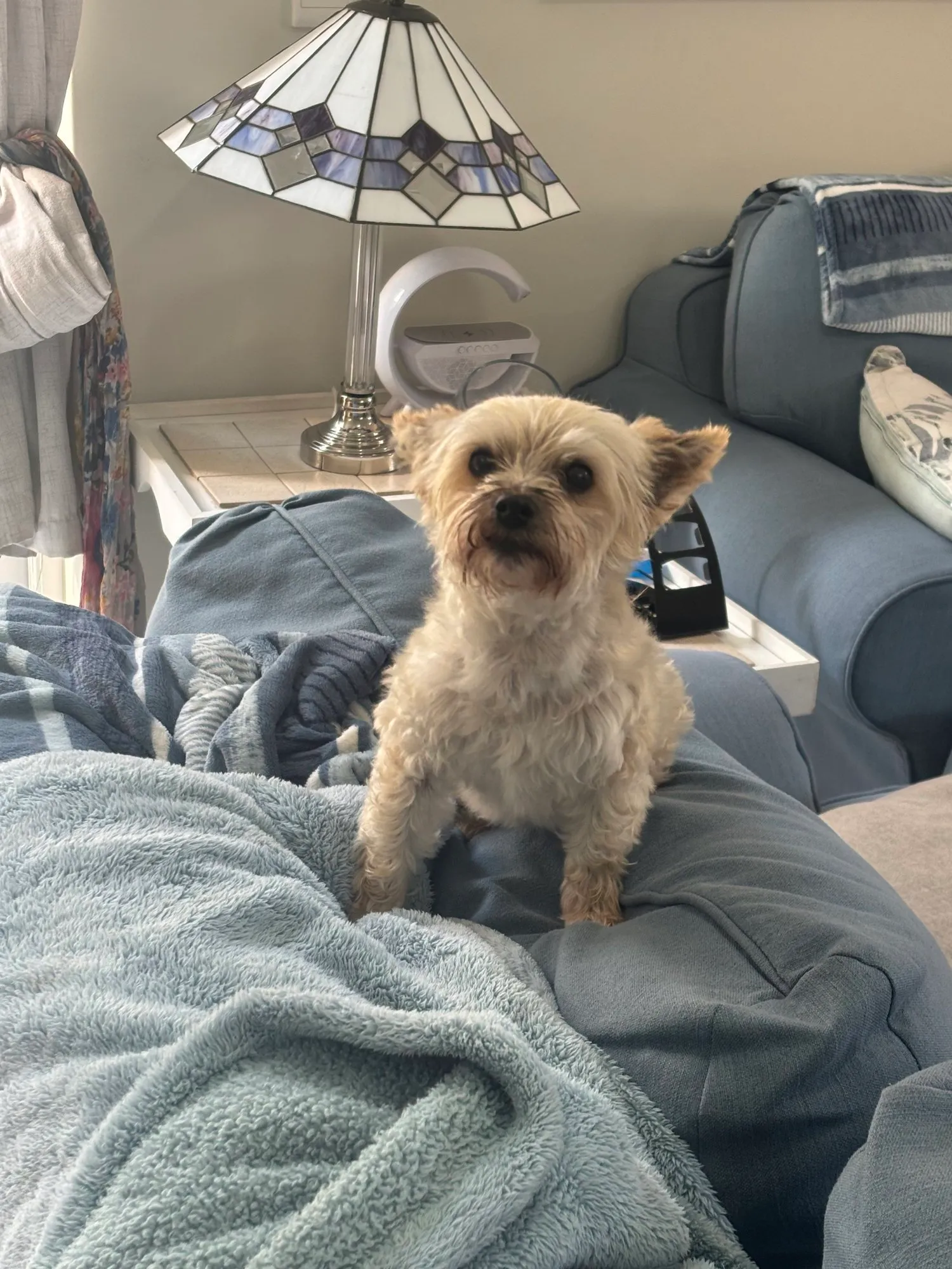 A memorable moment with a pet in our care (161)